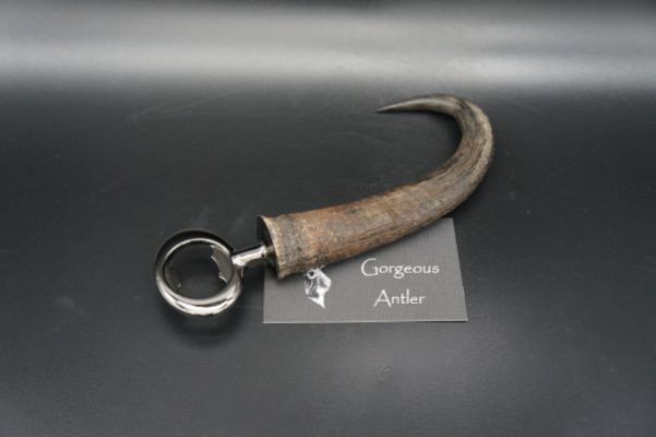 Antler Bottle Opener